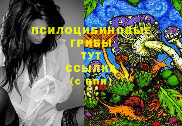 скорость Гусев