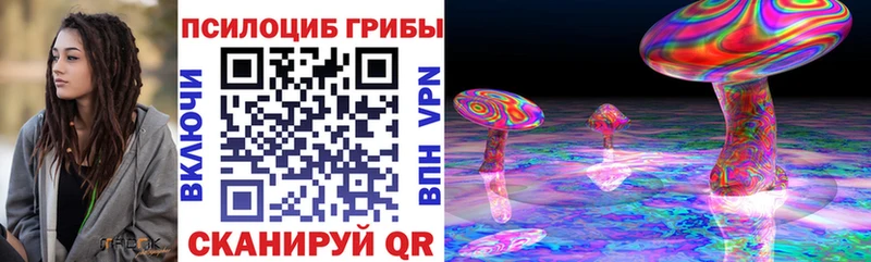 Псилоцибиновые грибы Magic Shrooms  цены   Плёс 